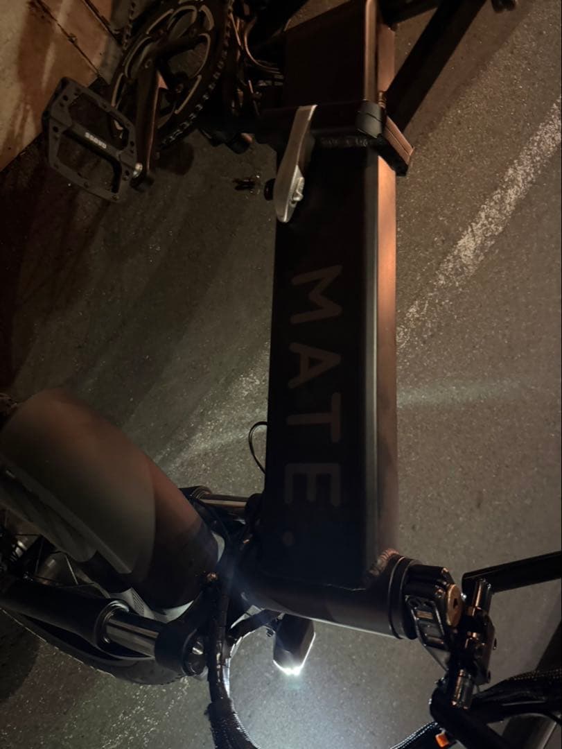 MATE BIKE X 250 メイト電動自転車メイトX 純正フルカスタム
