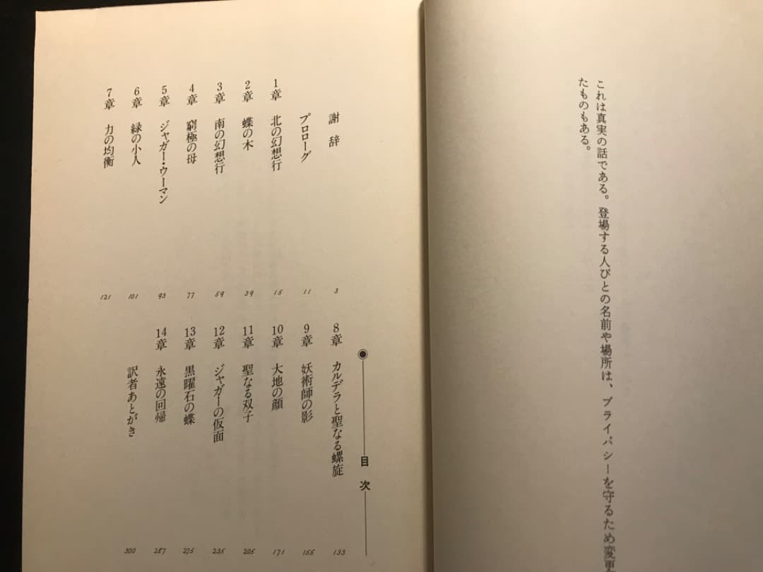 ジャガーウーマン〜蝶の木の教え