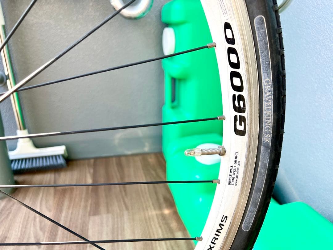 *SCHWINN* MADISON 2010 54size 送料込み