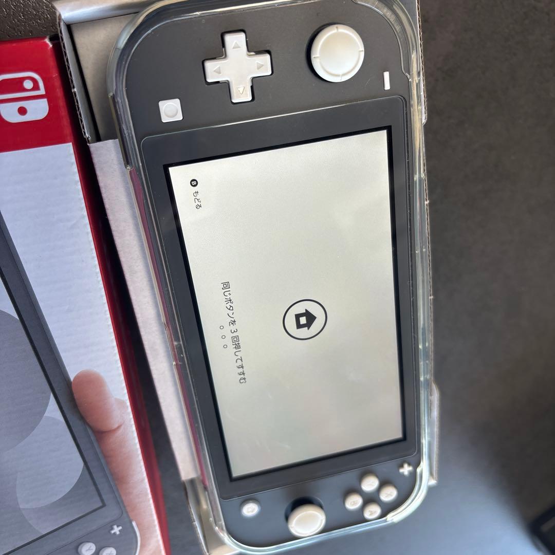 Switch Lite グレー　充電器＆ケース付き