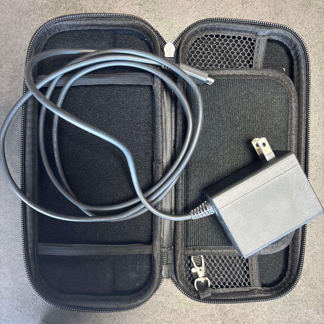 Switch Lite グレー　充電器＆ケース付き