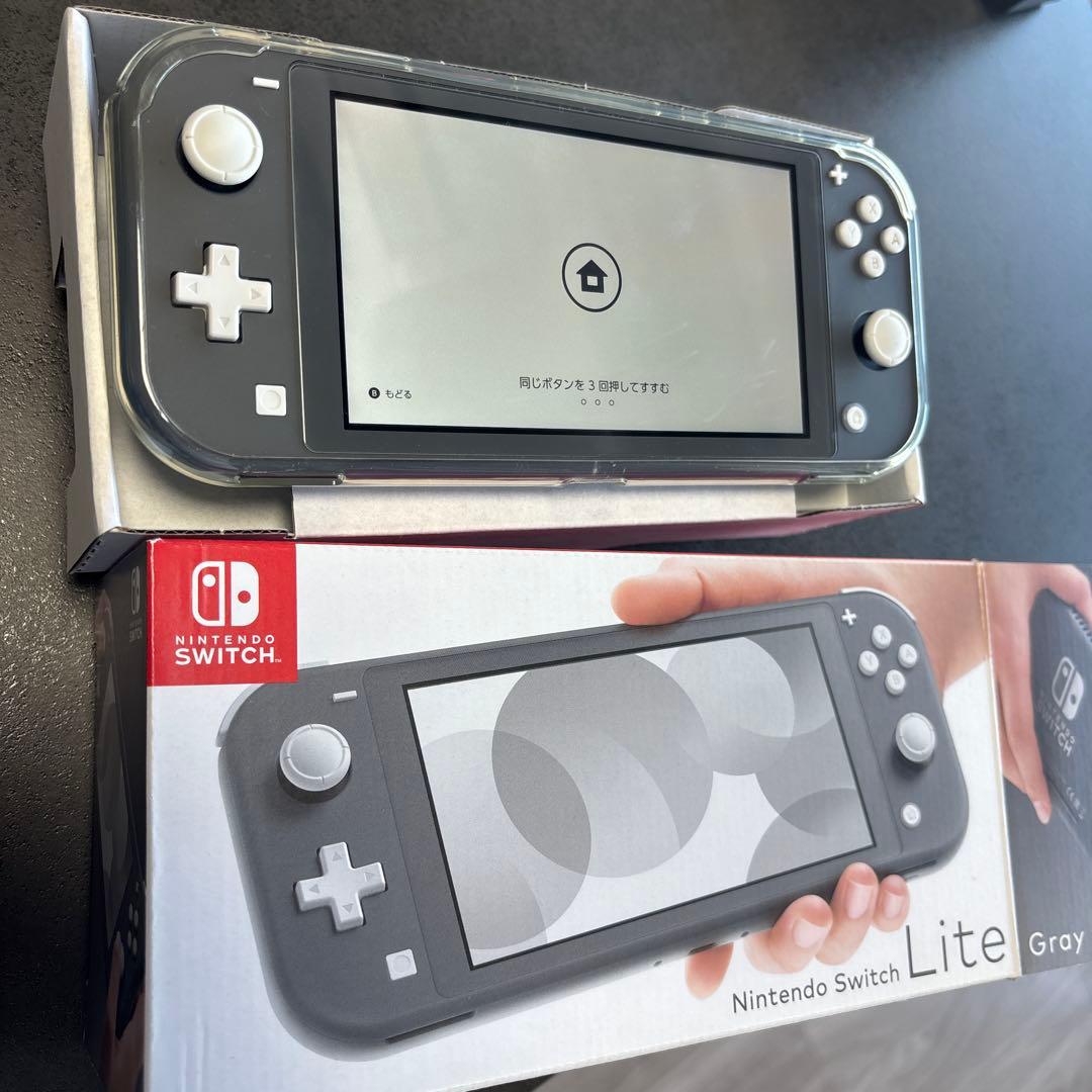Switch Lite グレー　充電器＆ケース付き