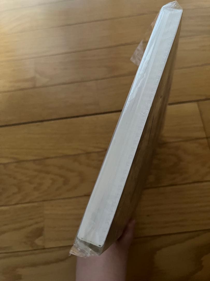 ドロヘドロ原画展FINAL スケッチブック 1 & 2 セット(バラ売り不可)