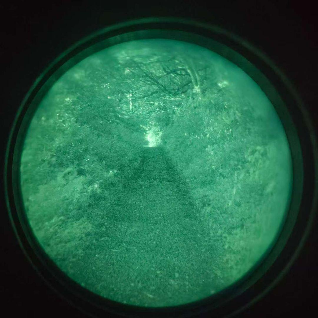 Argus pvs31米軍 実動 ir nvg 個人装備 特殊部隊ナイトビジョン