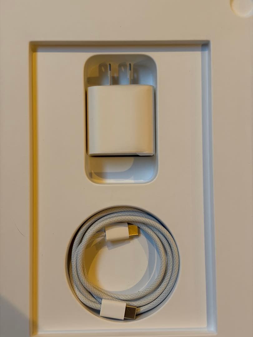 【美品】Apple iPad (第10世代) 64GB Wi-Fiモデル