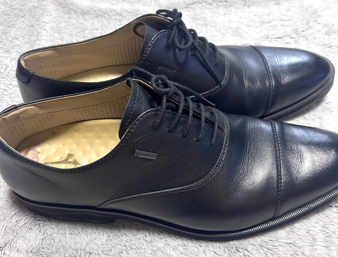 24時間以内/匿名配送 ミズノ ゴアテックス ウォーキング M-BIZ 28cm