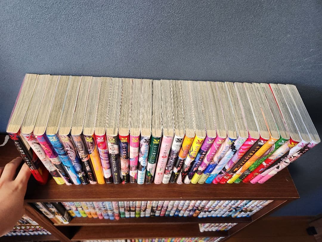 かぐや様は告らせたい　全28巻