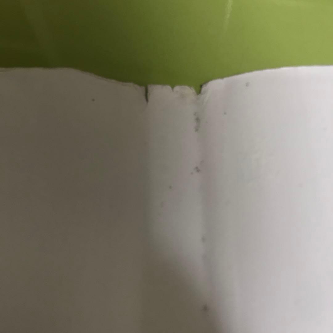 CORALINE A Visual Companion 洋書