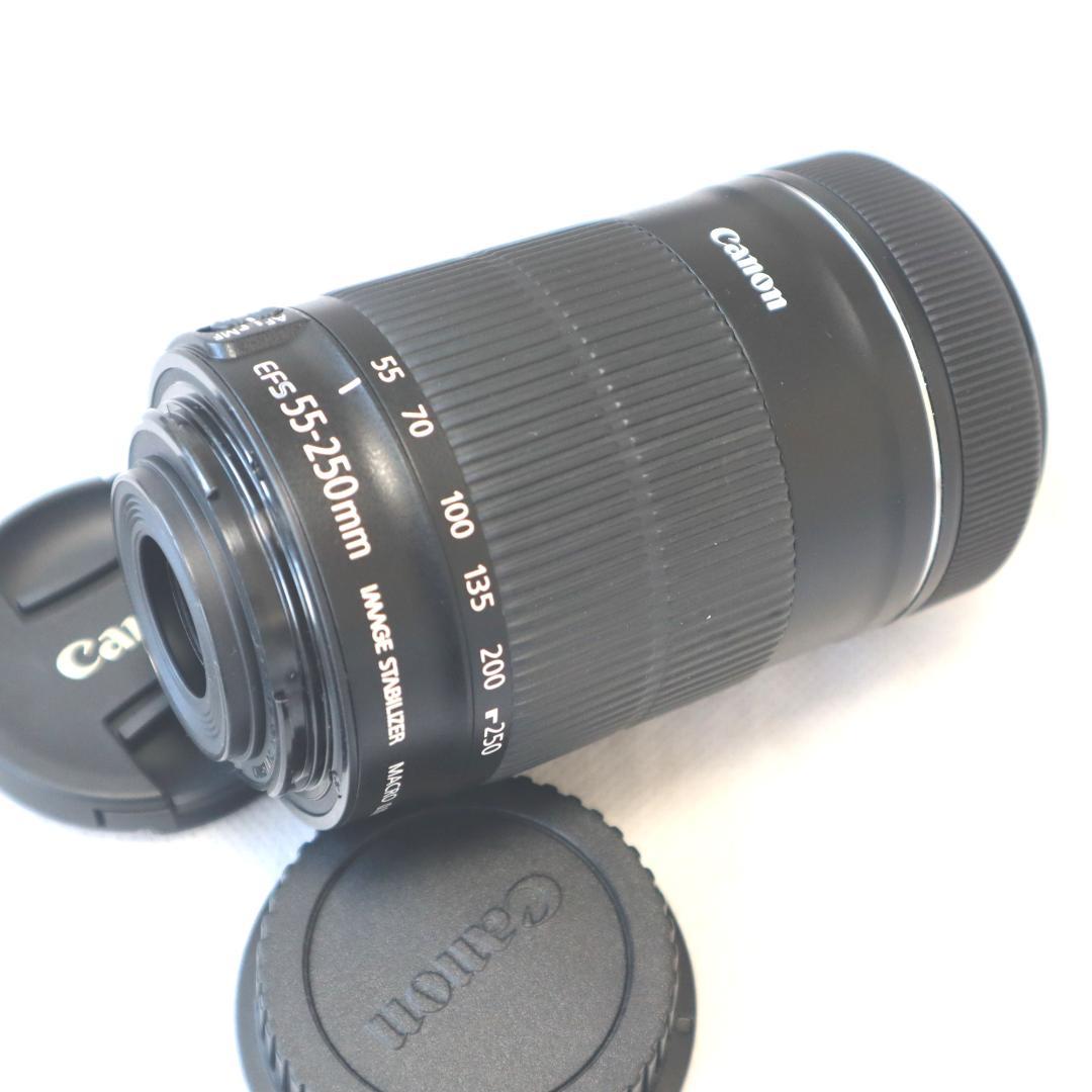 Canon EF-S 55-250mm F4-5.6 IS STM　キヤノン