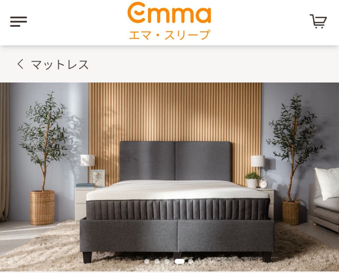 【全国送料無料】EmmaプレミアムV2 (S)正規品✨未使用✨タグカット