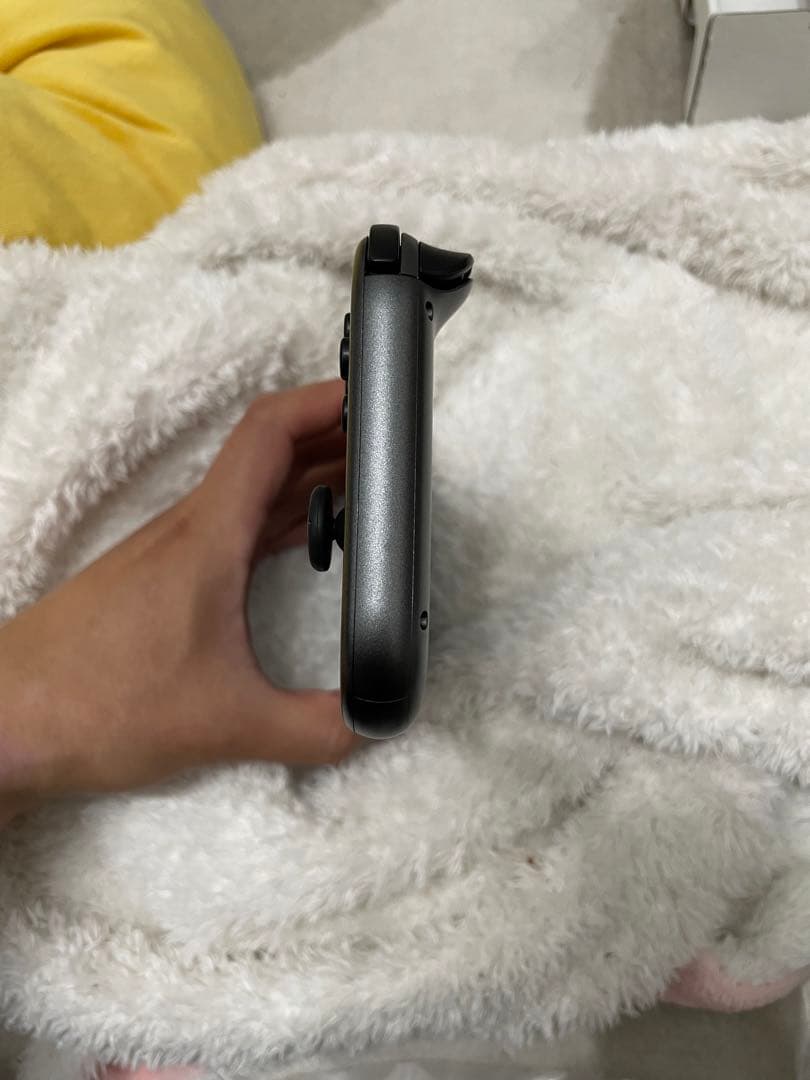 Nintendo Switch Lite ディアルガパルキア　本体