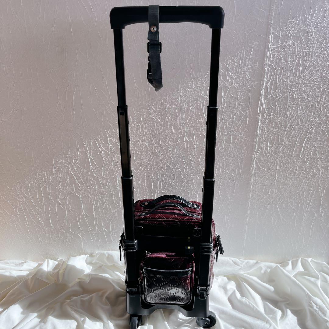 美品‼️SWANY スワニー エマイロ　ボルドー　キャリー　ショッピングバッグ