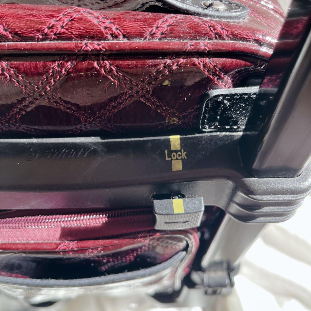 美品‼️SWANY スワニー エマイロ　ボルドー　キャリー　ショッピングバッグ