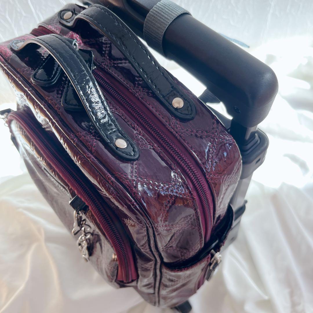 美品‼️SWANY スワニー エマイロ　ボルドー　キャリー　ショッピングバッグ