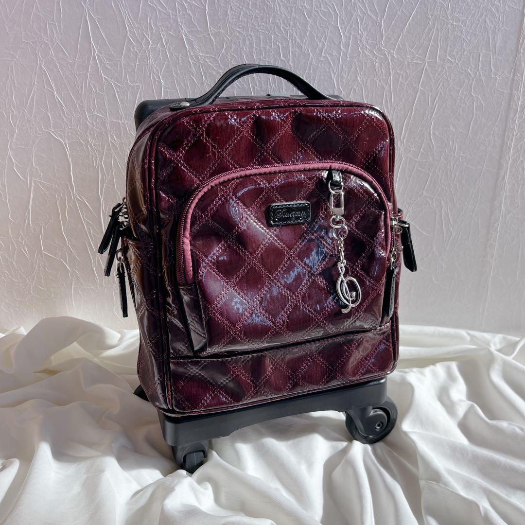 美品‼️SWANY スワニー エマイロ　ボルドー　キャリー　ショッピングバッグ