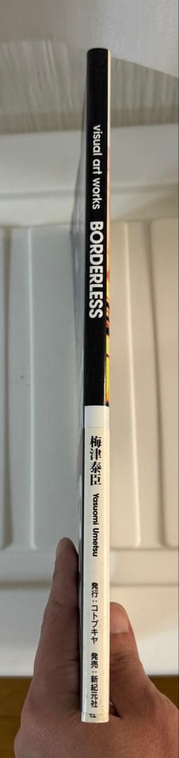 [絶版希少本] 梅津泰臣 BORDERLESS visual art works