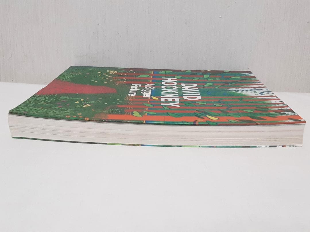 David Hockney A Bigger Picture ホックニー 英語版