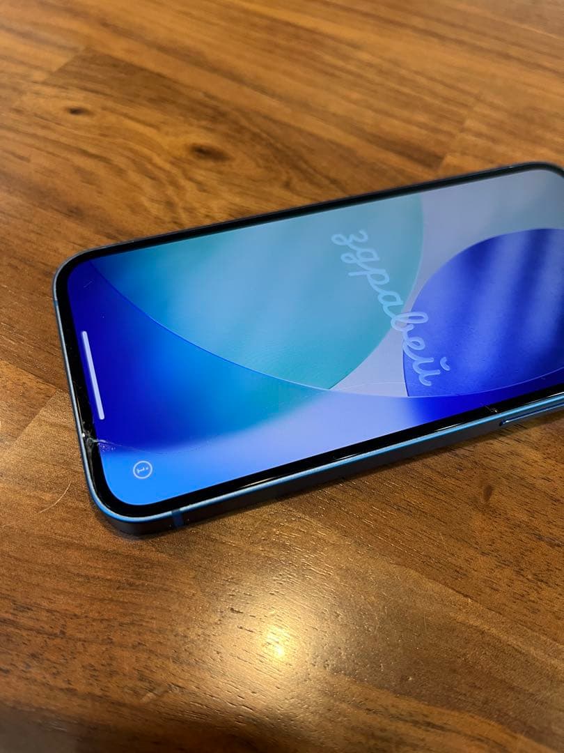 真*也様 【確認事項あり】iPhone13mini 256GB