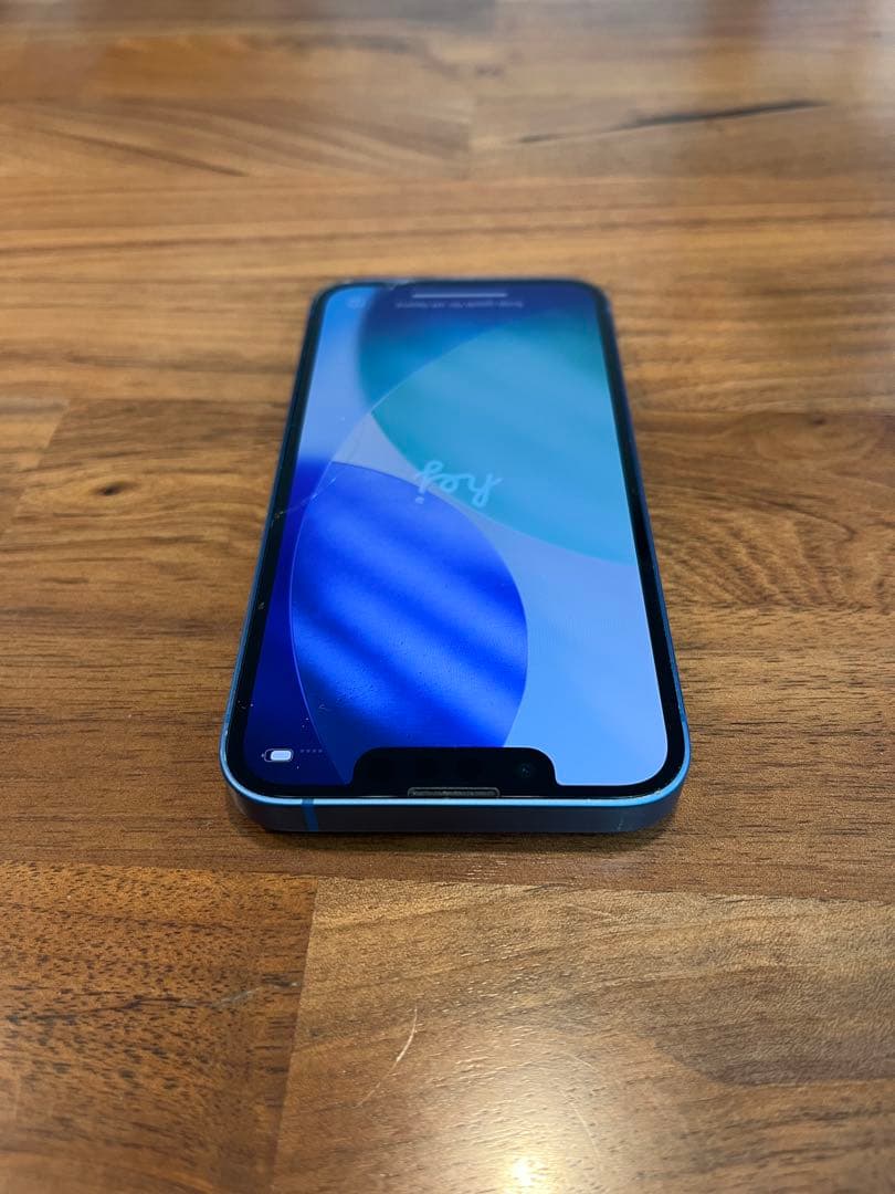 真*也様 【確認事項あり】iPhone13mini 256GB