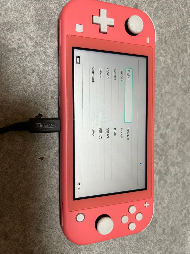 Nintendo Switch Lite ピンク 専用ケース付き　※動作確認済み