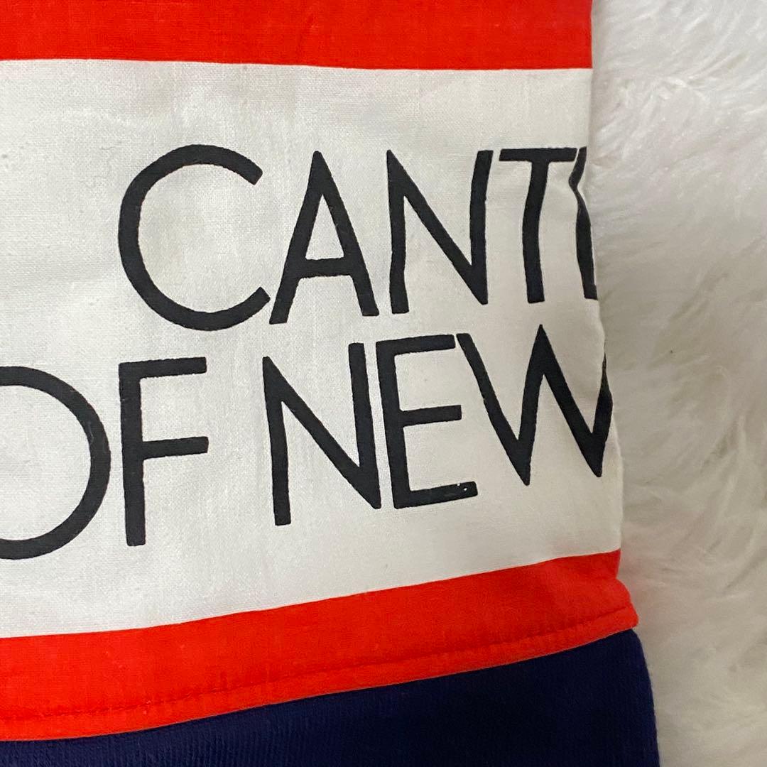 266 カンタベリー　CANTERBURY ラガーシャツ ビンテージ 美品