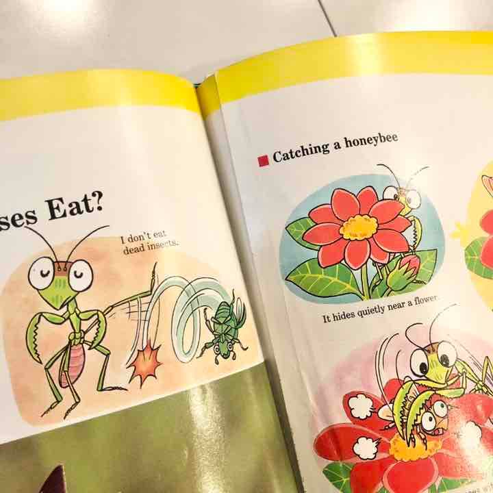 英語　絵本　海外　図鑑　サイエンス　昆虫　動物　化学　理科　宇宙　惑星　地球　魚