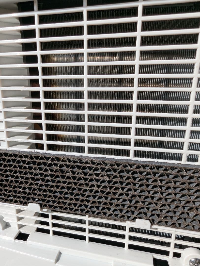 CORONA　コロナ　除湿機　2024年製　衣類乾燥