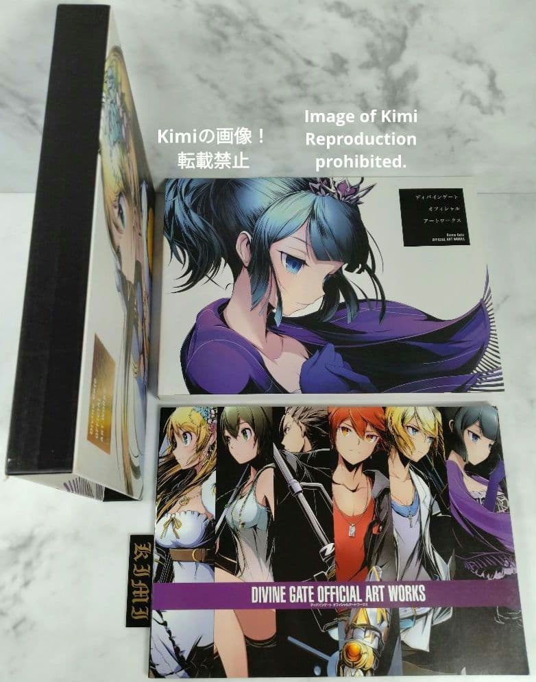 ディバインゲート OFFICIAL ART WORKS 本 2015 初版 画集