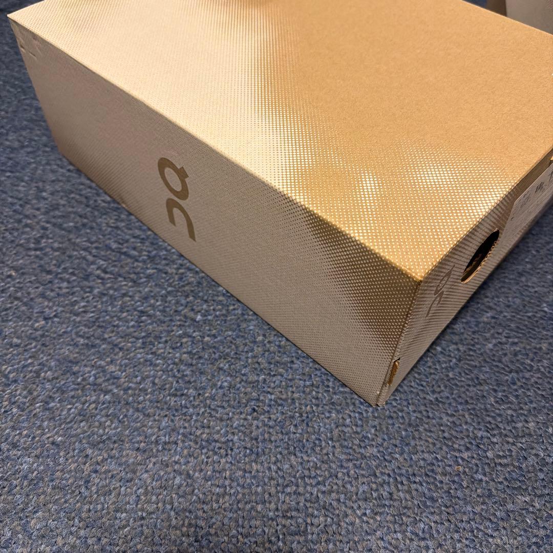 On Cloudsurfer trail 26.0センチ