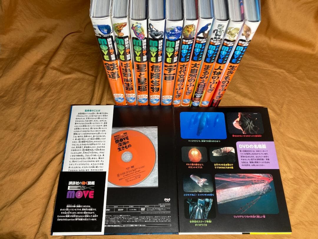 図鑑 18冊　セット DVD付き　子供向け