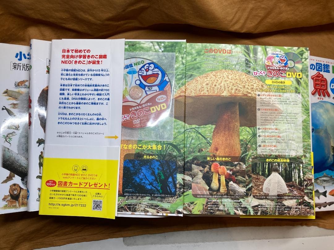 図鑑 18冊　セット DVD付き　子供向け