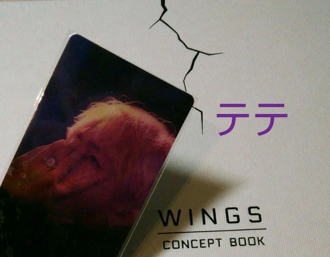 防弾少年団 　WINGS bts CONCEPT PHOTO BOOK 【テテ】