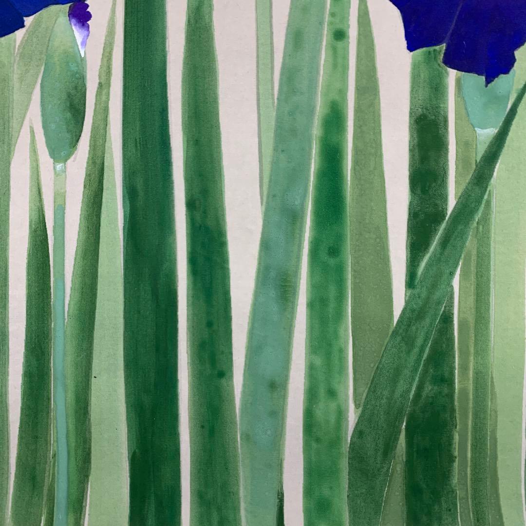 美品 掛け軸 静湖作 菖蒲図 共箱 太巻き付 季節掛け