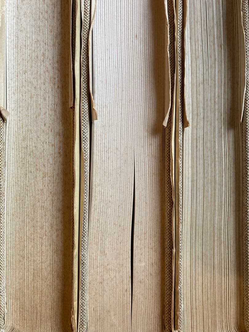 Italian Pictures of the Renaissance ★