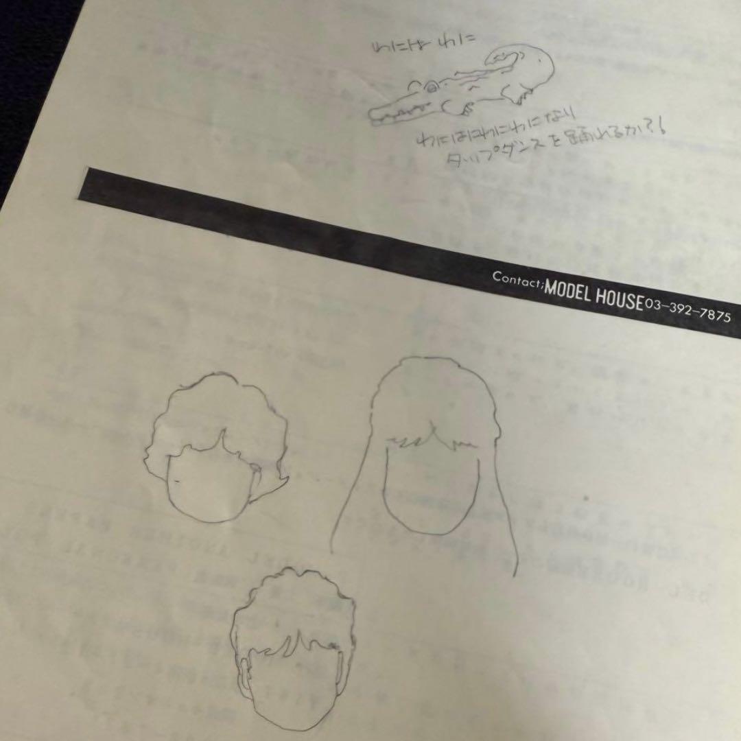 P-MODEL ANOTHER PAPERS 平沢 進 レア