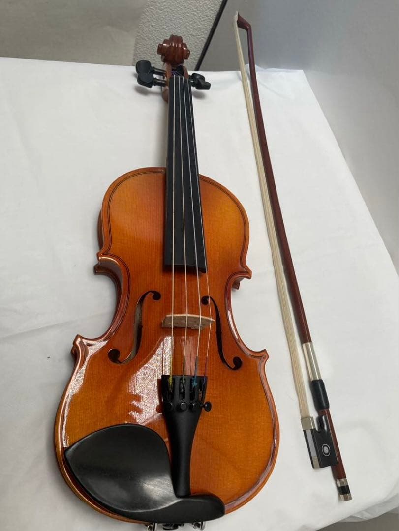 Reghin ルーマニア製　バイオリン1/8セット (付属品は追記)