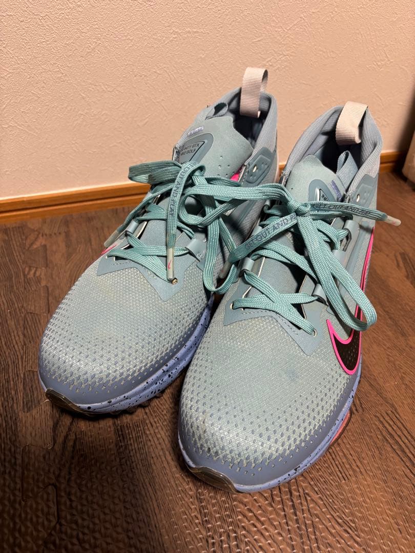 Nike ナイキ インフィニティツアー2 ゴルフシューズ27cm 防水