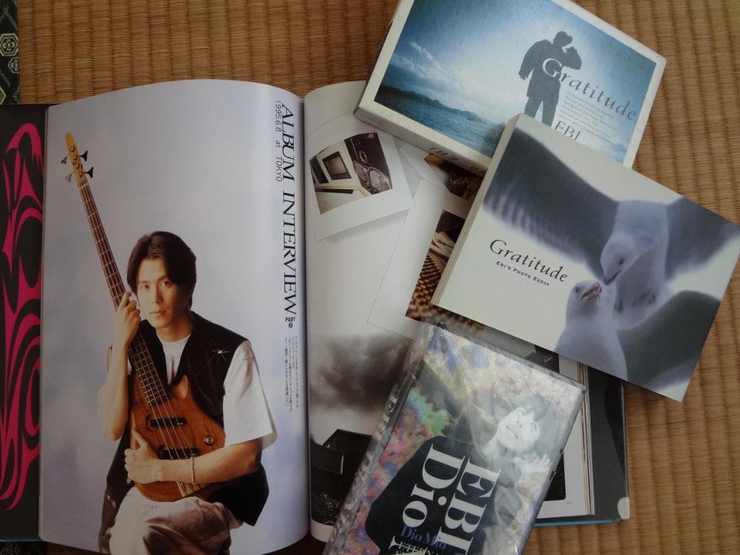 EBI（エビ）堀内一史     アーティストブック・ｖｈｓ