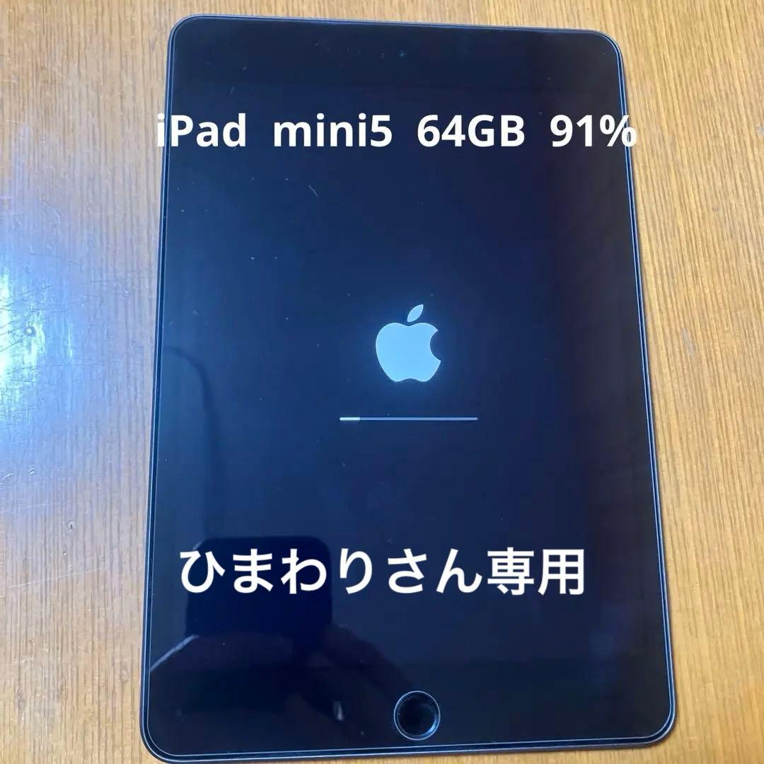Apple iPad mini5 wifi 64GB 91% 本体 カバー付き