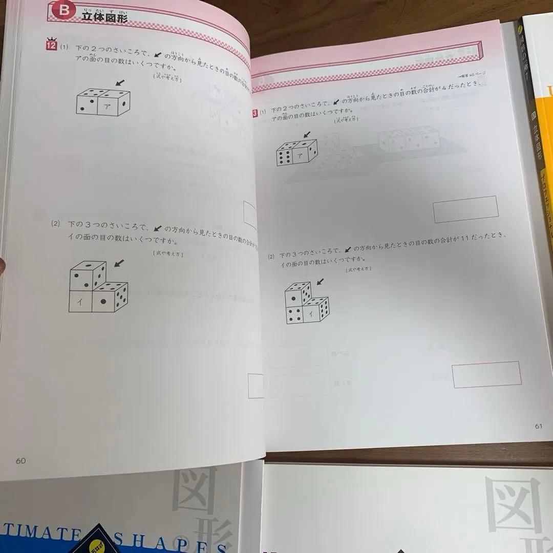 非常に珍しい！図形の極み professional セット