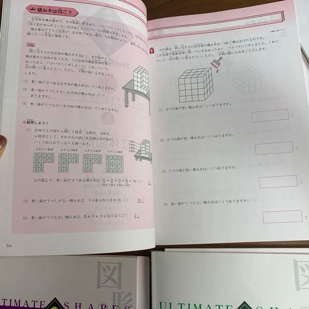 非常に珍しい！図形の極み professional セット