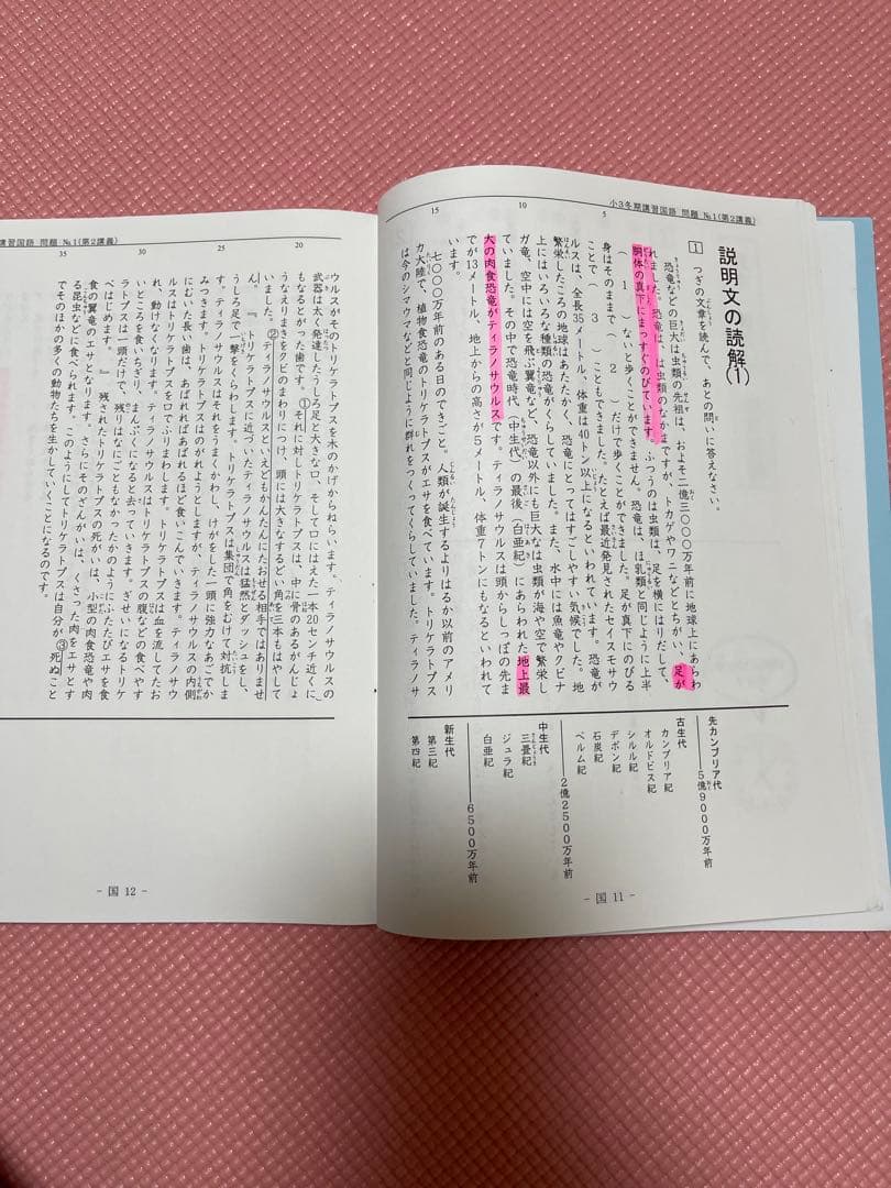 希学園小3  春期/夏期/冬期講習テキスト　算数　国語　理科　2018年度使用版