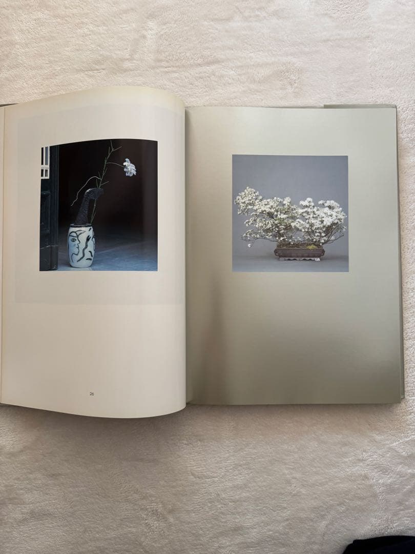 DANIEL OST ダニエルオスト　洋書