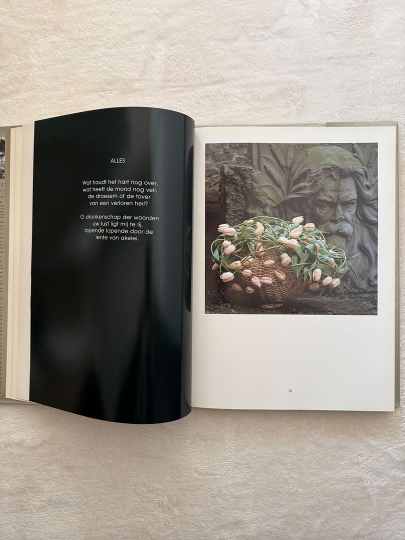 DANIEL OST ダニエルオスト　洋書