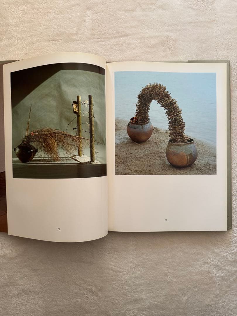 DANIEL OST ダニエルオスト　洋書