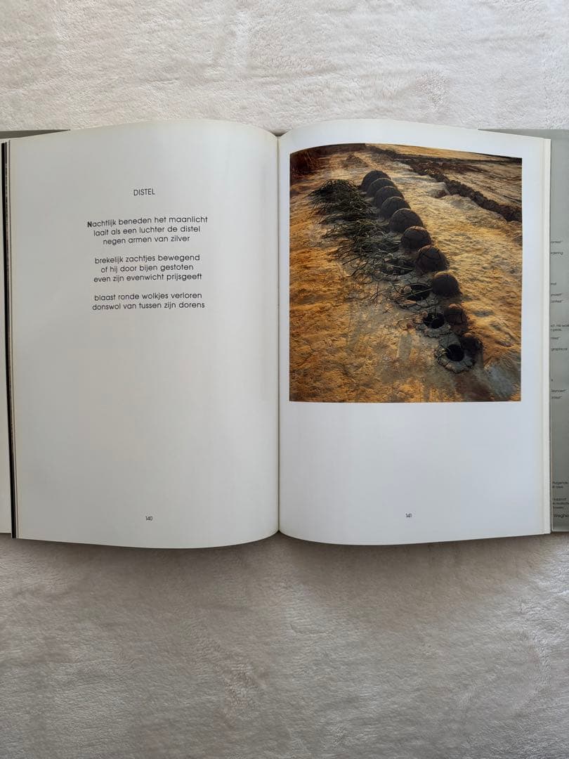 DANIEL OST ダニエルオスト　洋書