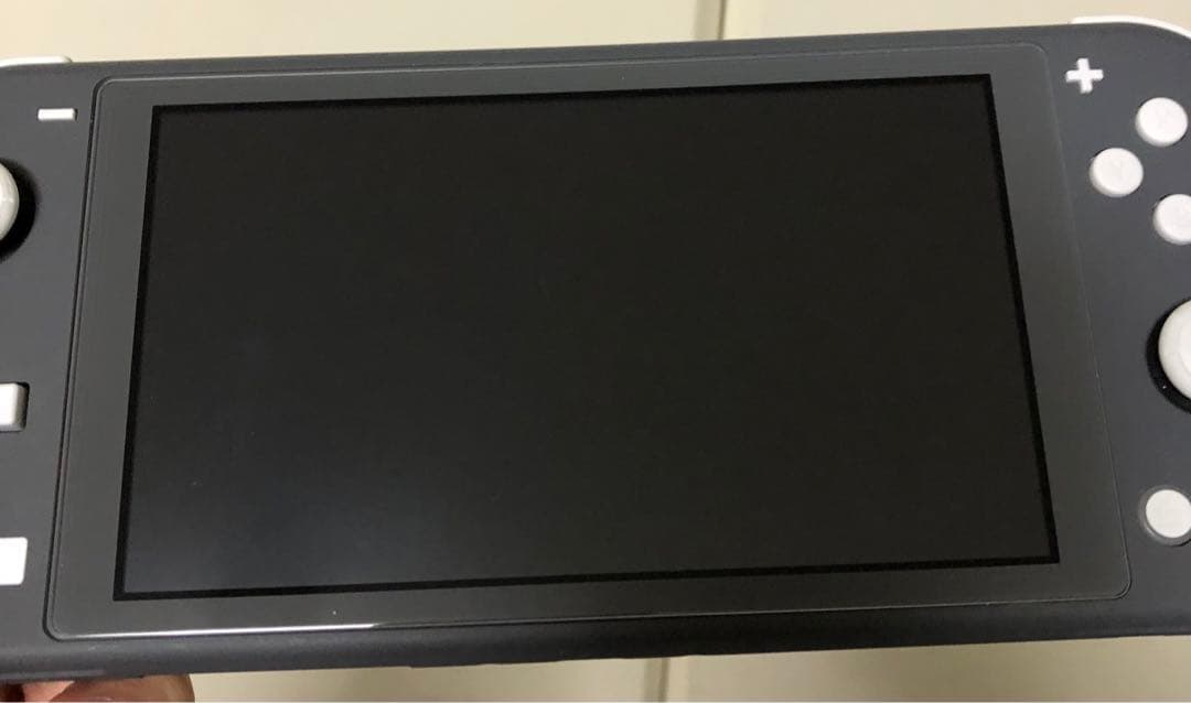 Nintendo Switch Lite グレー　【値下げ】