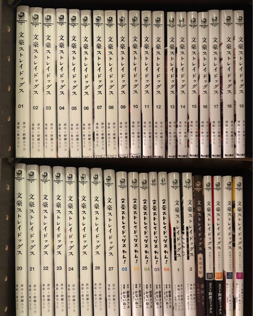 文豪ストレイドッグス 1〜27巻 既刊全巻+関連本12冊セット