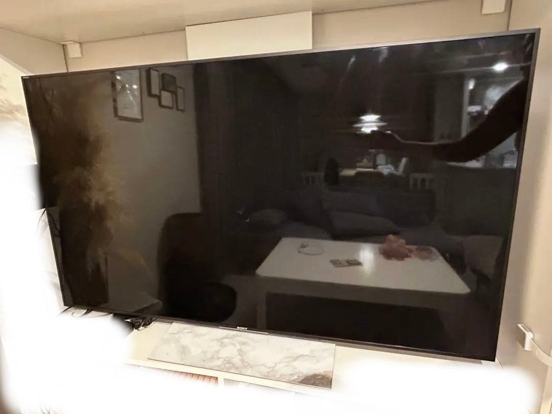 SONY KJ-55X9000E 55インチ液晶テレビ　ジャンク