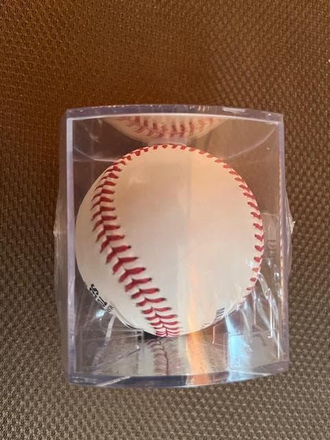 大谷翔平MLBTOUR東京ドーム開幕戦使用公認球ローリングスボールケース入限定品